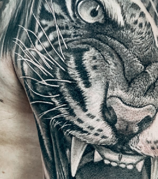 Tiger Tattoo Cris Cormos